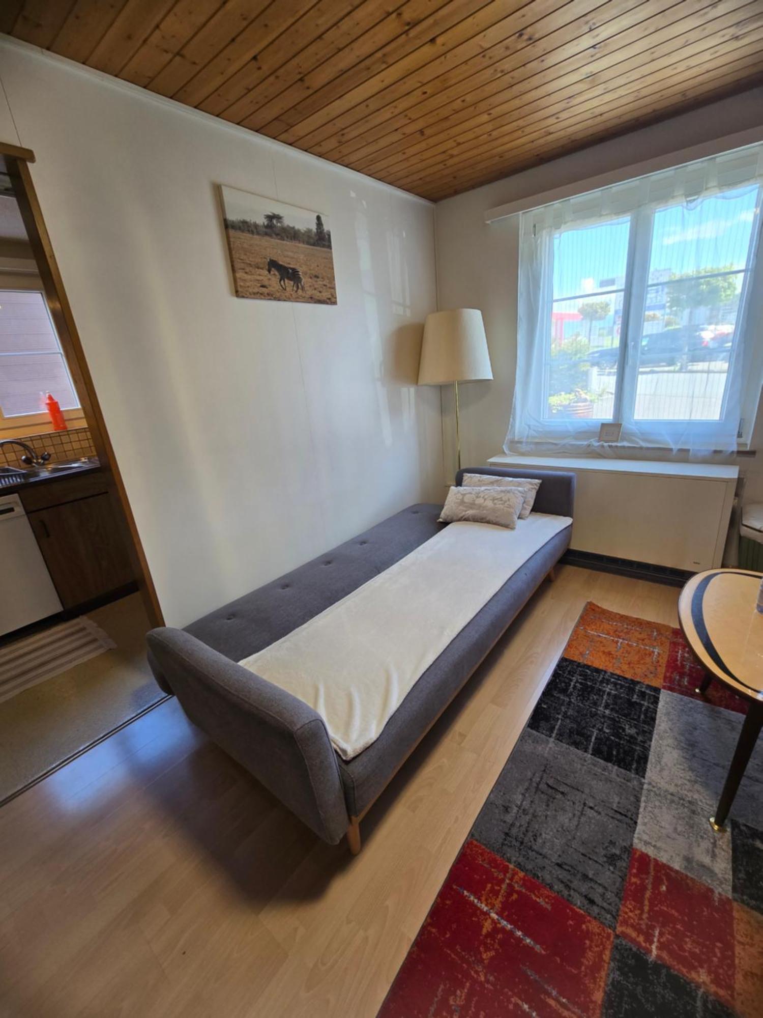 Garden Eden Apartment Freienbach Екстериор снимка